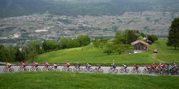 Vingegaard, Pogačar, Evenepoel : les stars du Tour de France à suivre de près