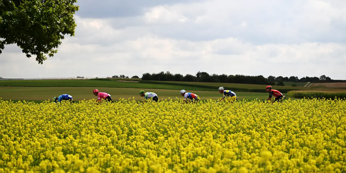 Pronostic Tour des Flandres 2026 : Pogačar et Van der Poel, la rivalité du siècle