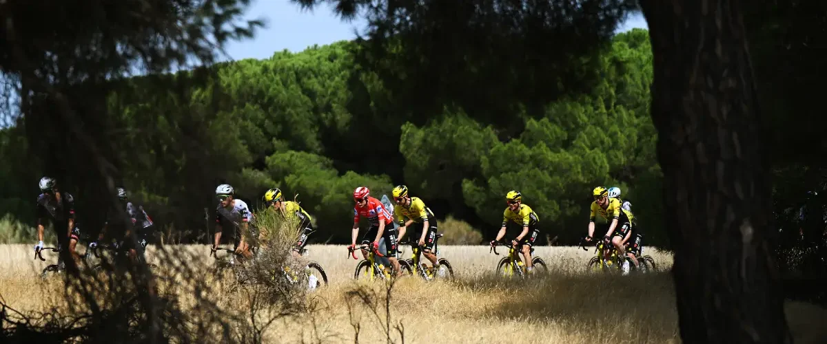 Jonas Vingegaard Pronostic Tour d’Espagne 2026
